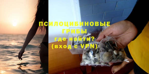 метамфетамин Алексеевка