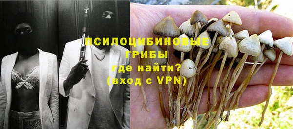 мескалин Алексин