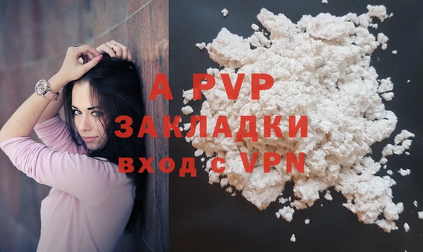 мяу мяу мука Абаза