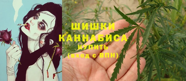 мяу мяу мука Абаза