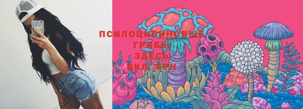 прущая мука Алзамай