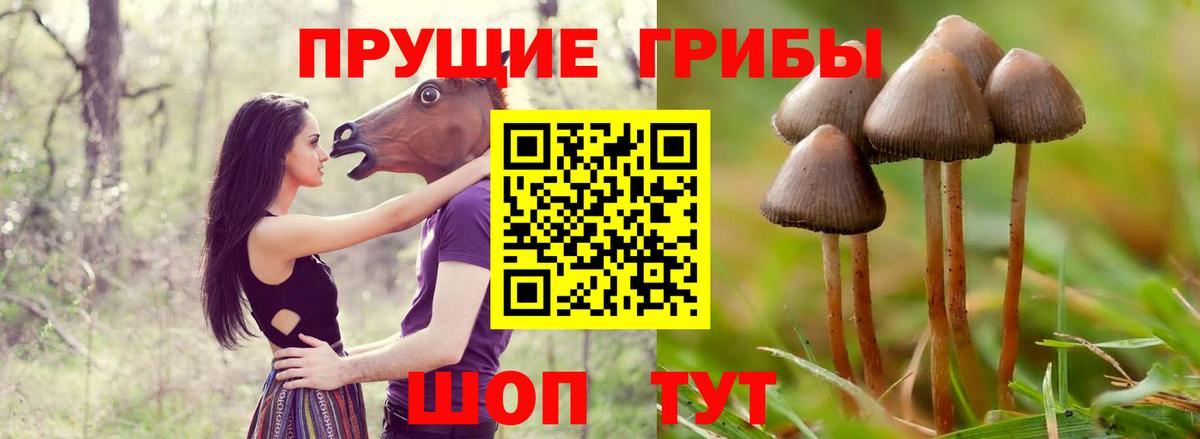 Новоуральск  Псилоцибиновые грибы Psilocybe  Галлюциногенные грибы ЛСД  Вход с VPN 